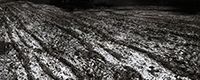Landscapes Series